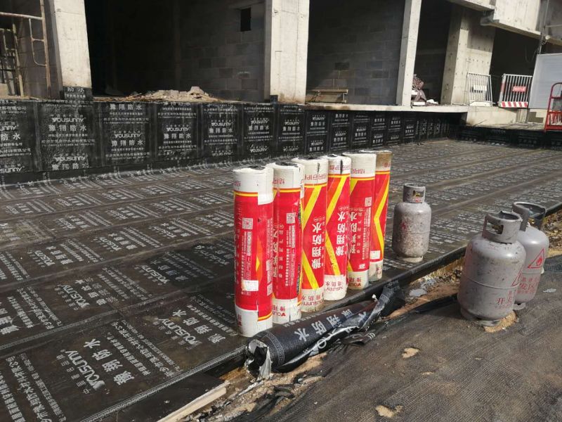 中電建十一局三門(mén)峽區域項目